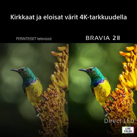 SONY 65" BRAVIA 2 II 4K GOOGLE TV - Yli 60 tuumaiset televisiot - 4548736180086 - 2