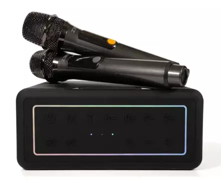 Z3N PARTY B10 KARAOKEKAIUTIN + MIKROFPNIT - Bluetooth-kaiuttimet - 4745010623127 - 2